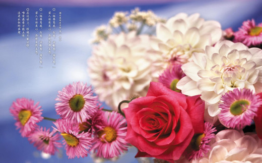 �493382 �������(a): ����������:1920x1200